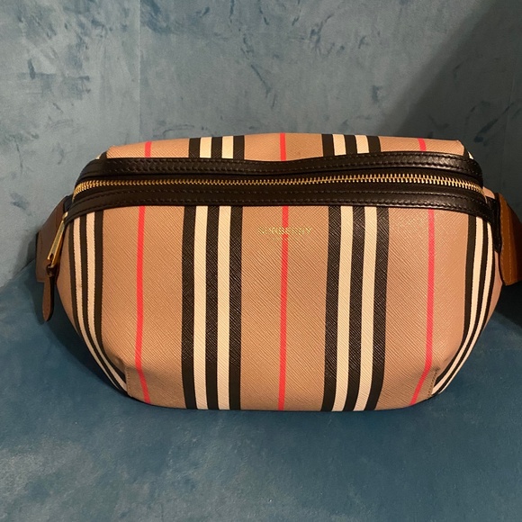 Fanny Pack - Picture 1 of 9